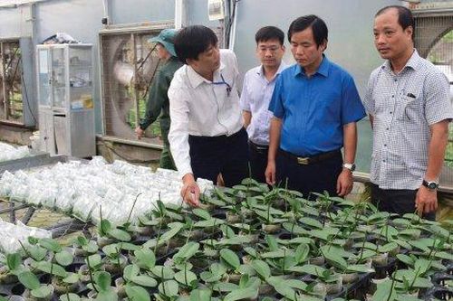 Kinh tế Nông nghiệp - Nông thôn Thêm chính sách hỗ trợ doanh nghiệp và tiêu thụ sản phẩm nông nghiệp