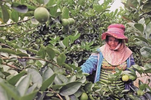 Phát triển nhân lực nông nghiệp trong CMCN 4.0