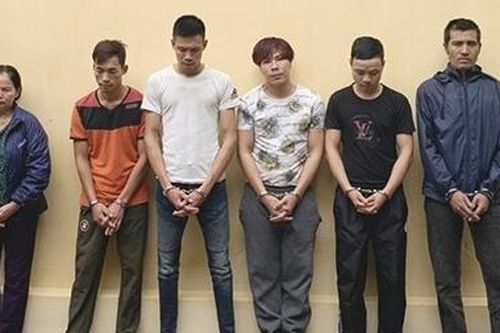 Triệt phá nhiều ổ nhóm trộm chó chuyên nghiệp