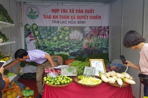 Tuần lễ giới thiệu 'Sản phẩm cây ăn quả có múi và nông, thủy sản an toàn, chất lượng tỉnh Hòa Bình năm 2019 tại Hà Nội'