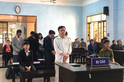 12 cán bộ sai phạm trong quản lý đất đai, bảo vệ rừng lĩnh án