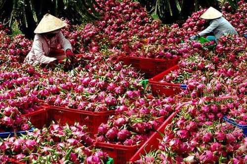 Trung Quốc chơi kiểu Mỹ, Việt Nam chờ xem, dễ làm khó bỏ