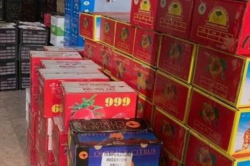Lực lượng QLTT thu giữ hơn 2 tấn hoa quả nhập lậu tại Bình Phước