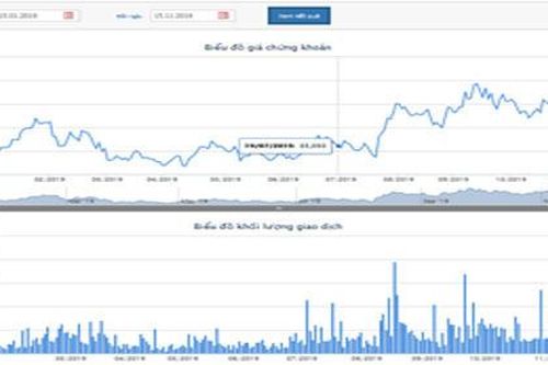 Platinum Victory Pte.Ltd chỉ mua được 40% lượng cổ phiếu REE chào mua công khai