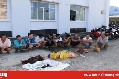 Triệt xóa tụ điểm đá gà, lắc tài xỉu ở xã Vĩnh Lợi, bắt giữ 10 đối tượng