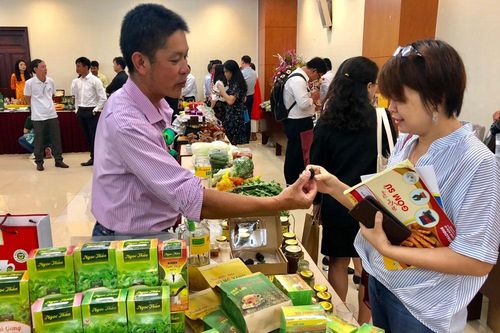 Hành trình định vị thương hiệu ''Đà Lạt - Kết tinh kỳ diệu từ đất lành'' (Kỳ 1)