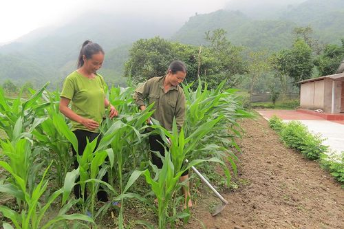 Mỹ Lung khéo làm dân vận