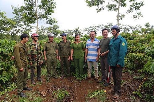 Công an Đắk Nông tăng cường đảm bảo an ninh, trật tự mùa thu hoạch nông sản