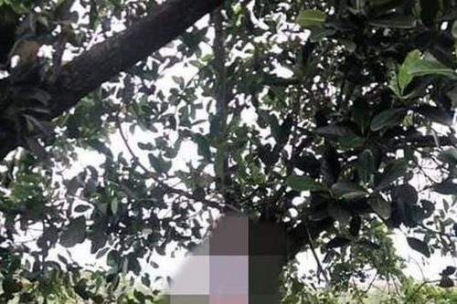 Phát hiện thi thể nghi là người cha sát hại 2 con ở Bà Rịa - Vũng Tàu