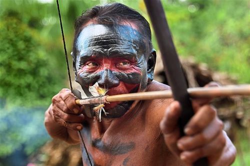 Rừng Amazon bị tàn phá để nuôi sống đất nước cách Brazil 17.000 km