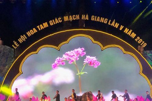 Khai mạc Lễ hội hoa tam giác mạch, du khách nườm nượp đến Hà Giang