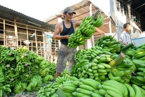 Muốn 'đứng vững' ở thị trường Trung Quốc, doanh nghiệp nông sản phải thay đổi cách làm