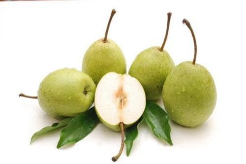 Thường xuyên ăn trái lê để cơ thể khỏe hơn