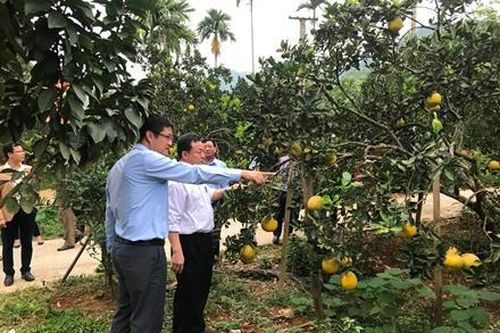 Tập huấn, bồi dưỡng kiến thức xây dựng nông thôn mới
