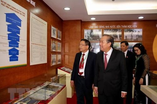 Nhiều hoạt động chào mừng Ngày Nhà giáo Việt Nam 20-11