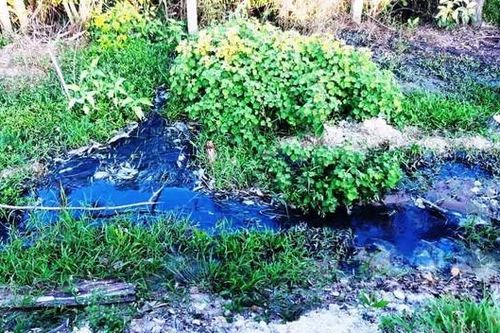 Bưng bít thông tin xử lý sai phạm xả thải của nhà máy tinh bột sắn?