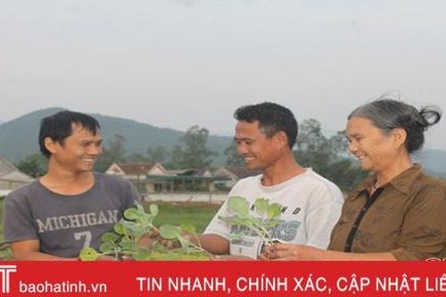 Hai chị em cùng là cán bộ thôn 'xắn tay' với việc làng, việc xã ở Hà Tĩnh