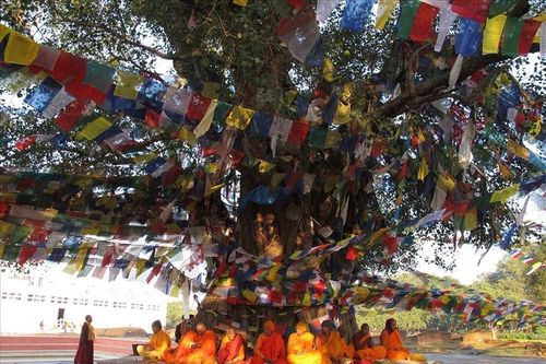 Khám phá đất Phật Ấn Độ