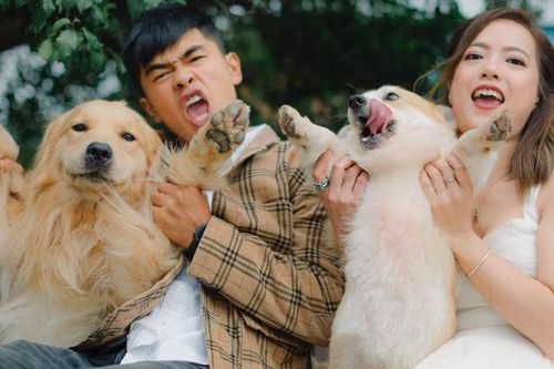 Quán cà phê gần 40 con chó hút khách ở Đà Lạt