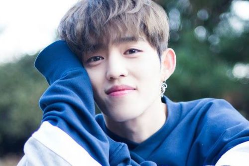 Trưởng nhóm S.Coups tạm dừng hoạt động với SEVENTEEN, fan nghi thần tượng bị trầm cảm