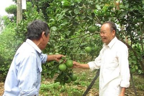 Già làng Văn luôn 'đầu tàu' gương mẫu