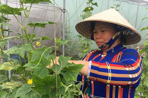 Phát triển sản phẩm nông nghiệp chủ lực