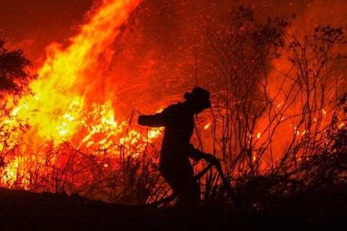 Indonesia buộc các công ty gây cháy rừng bồi thường 22,5 tỷ USD