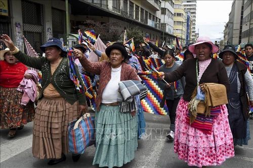 Biểu tình tiếp diễn, Bolivia thiếu nghiêm trọng nguồn cung thực phẩm