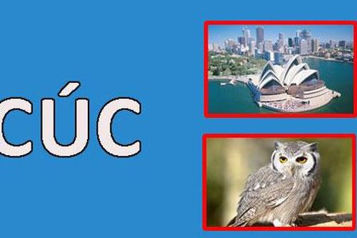 Chữ gì bỏ đầu thành tên quốc gia, mất đuôi ra một loài chim?
