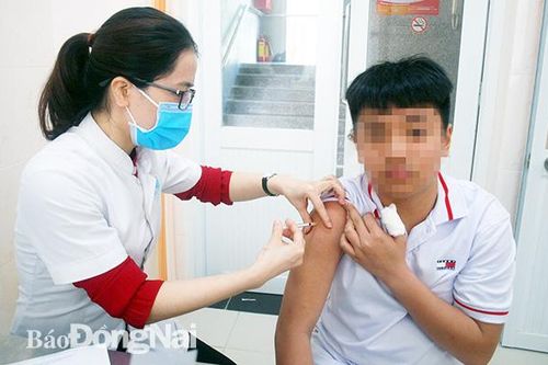Cảnh giác với bệnh dại