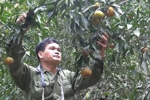 Vượt lên quá khứ lầm lỗi để phát triển kinh tế giỏi