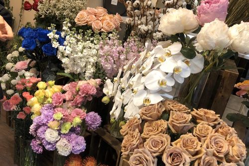 Mua hoa cả chục triệu đồng tặng thầy cô ngày 20/11