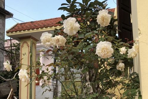 Vợ đã tha thứ khi biết tôi ngoại tình, nhưng rồi đòi ly hôn vì một câu nói