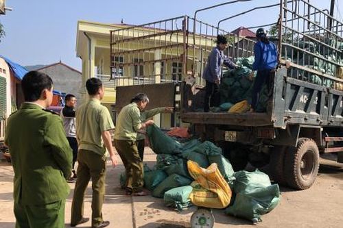 Chặn đứng trên 5.000 kg chân lợn và lòng lợn xuất lậu
