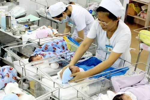 Cơ cấu chất lượng dân số theo vùng miền tại Việt Nam 'còn nhiều vấn đề'