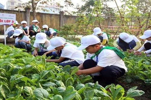 Nestlé hỗ trợ học sinh tiểu học ở Hưng Yên về dinh dưỡng học đường