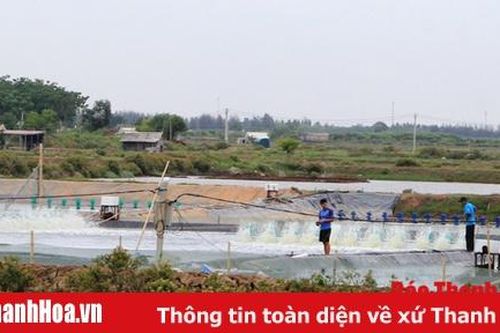 Phát triển sản xuất, xây dựng cơ sở hạ tầng ở xã Nga Thủy