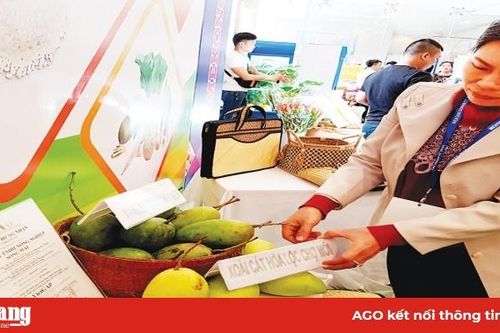 Chú trọng phát triển khoa học - công nghệ