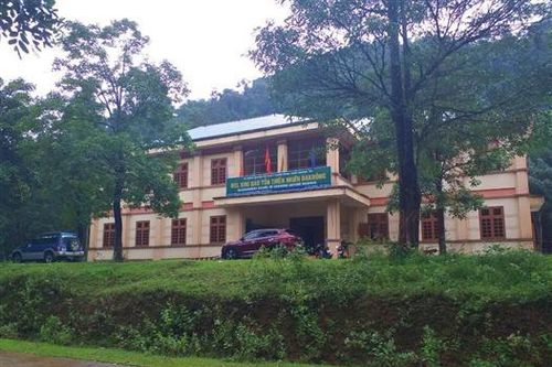 Kỉ luật chi bộ và hai đảng viên liên quan đến quản lí, bảo vệ rừng