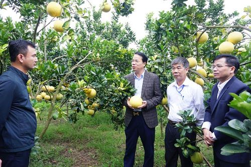 Kiểm tra tiến độ thực hiện Chương trình xây dựng nông thôn mới