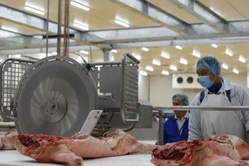 Giá thịt lợn 'phi mã' có thể phá vỡ ngành chăn nuôi