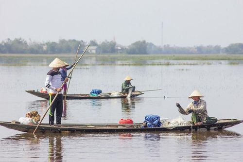 Mưu sinh vùng càng mùa nước nổi