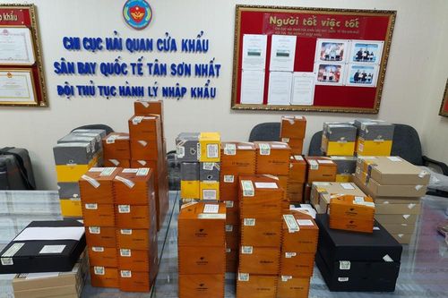 Giấu gần 2.500 điếu xì gà Cuba trong hành lý máy bay về Việt Nam