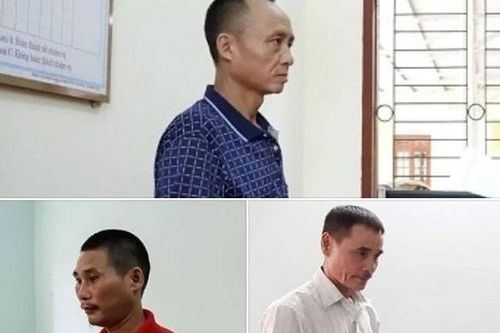 Đốt ong lấy mật gây thiệt hại gần 600 triệu đồng