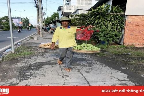 Đặc sản núi xuống phố