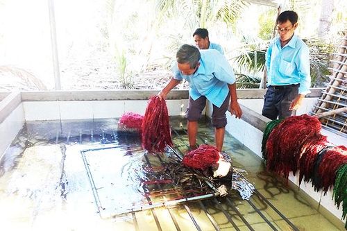 Xã Vạn Phú: Điển hình trong phát triển kinh tế