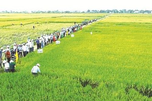 Cần lực đẩy để phát triển kinh tế hợp tác xã