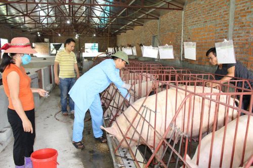 Sẽ tổ chức 2 đợt tiêm phòng cho đàn vật nuôi trong năm 2020