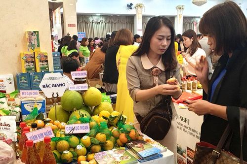 Kết nối cung cầu hàng hóa giữa Hà Nội và các tỉnh, thành phố