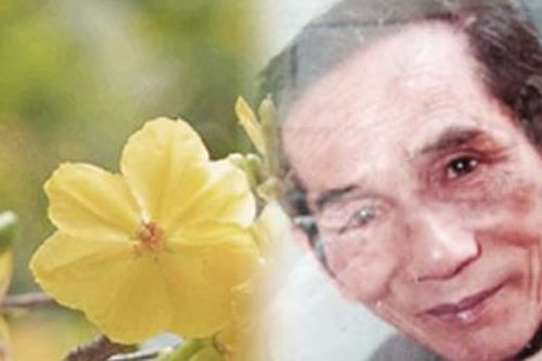 Có một cõi Yến Lan 'vô thường'